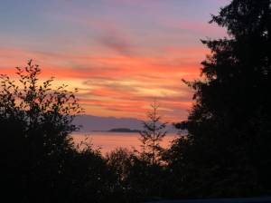 Opinion: The Roadless Rule is working for Southeast Alaska