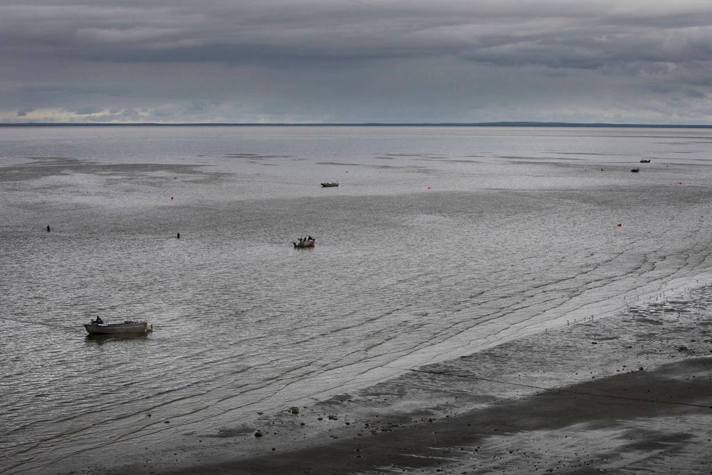 Fishing boats in Naknek, Alaska in 2017. (Courtesy Photo | SalmonState)