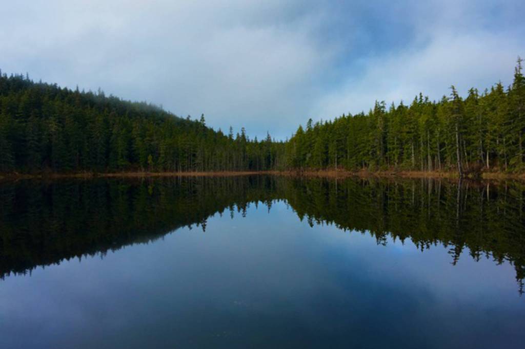 The forest reflects off the surface of Cedar Lake in Point Bridget State Park on Friday, Oct. 18, 2019. (Courtesy Photo | Denise Carroll)