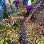 Colorful foliage along the Cedar Lake Loop Trail on Oct. 18.