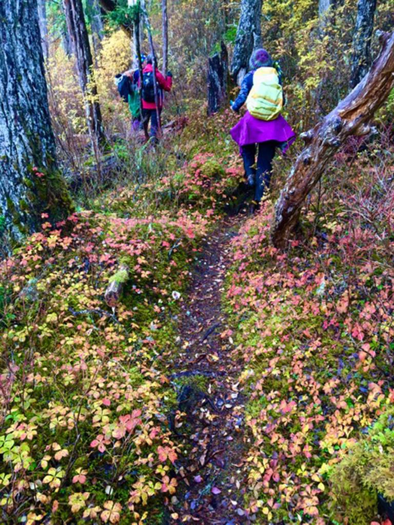 Colorful foliage along the Cedar Lake Loop Trail on Oct. 18.