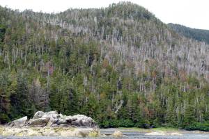 Alaska Fish and Game applauds decision not to list species as protected