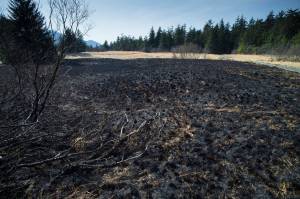 ‘Eyebrow’-raising weather set records this summer