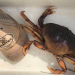 When a hat isn’t just a hat