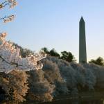 Opinion: Applying restorative justice to political warfare