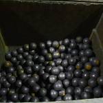 Steel mill balls waiting to be loaded into a massive tumbler where theyre used to crush rock from the mine, Monday, Oct. 14, 2019. (Peter Segall | Juneau Empire)