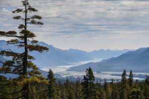 The view of Gasitneau Channel and Juneau from near the John Muir Cabin on Wednesday, Aug. 7, 2019. (Michael Penn | Juneau Empire File)