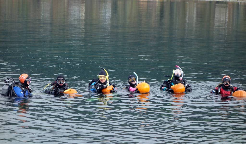 Divers at the sixth annual Spooktacular Dive and Underwater Pumpkin Carving event at Harlequin Point prepare to turn their hollowed-out pumpkins into jack-o-lanterns Saturday, Oct. 26, 2019. (Ben Hohenstatt | Juneau Empire)