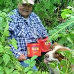 Mickey Prescott and Oscar picking red huckleberries. (Vivian Faith Prescott | For the Juneau Empire)
