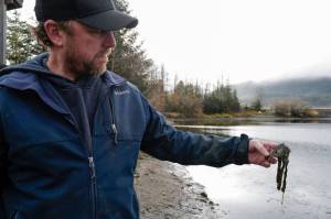 City drains, flushes Twin Lakes in effort to fight weed