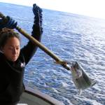 These three Alaskans are disrupting the salmon business