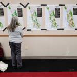 A Juneau resident studies maps for the six Alaska Roadless Areas Draft Environmental Impact Statement drafts during an informational meeting by U.S. Department of Agriculture Forest Service at Elizabeth Peratrovich Hall on Monday, Nov. 4, 2019. (Michael Penn | Juneau Empire)