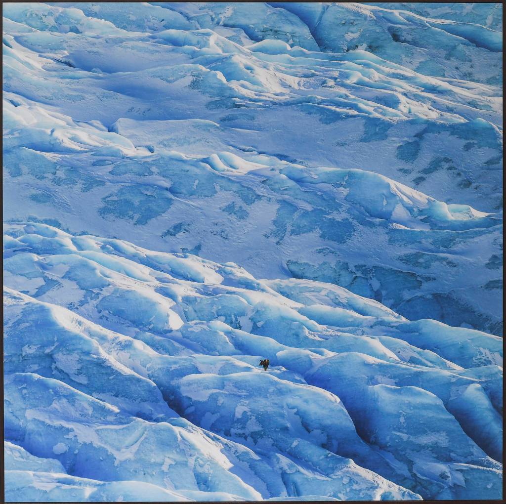 Artwork on display at the All-Alaska Biennial exhibit at the Alaska State Museum on Wednesday, Nov. 6, 2019. The exhibit runs until Jan. 11. Winter hours for the museum are 10 a.m.-4 p.m Tuesday-Saturday. (Michael Penn | Juneau Empire)