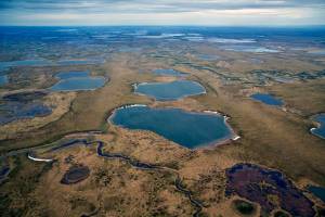 With a nod to Trump, BLM to hold annual sale of oil lands