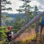 University of Alaska Southeast student Mckenzie Wilson, and professor Eran Hood examine a downed tree in an avalanche path near Eaglecrest Ski Area in the summer of 2019. (Courtesy Photo | Molly Tankersley)