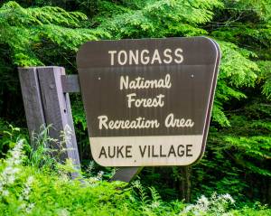 Alaska Natives, Tlingit women to testify before Congress on Roadless Rule