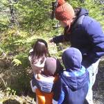 Vivian Mork Yéilk passes down plant knowledge to the next generation in Wrangell. (Breanne Pearson | For the Capital City Weekly)