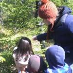 Vivian Mork Yéilk passes down plant knowledge to the next generation in Wrangell. (Breanne Pearson | For the Capital City Weekly)