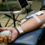 In this stock photo, a persons blood is collected during blood donation. Next week, residents of Gustavus will have blood samples taken for a study that will determine what quantities of so-called forever chemicals are in their blood and how that may correlate to the chemicals present in drinking water. (Unsplash | LuAnn Hunt)