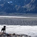Dirty glaciers all over the world