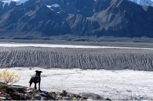 Dirty glaciers all over the world