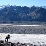 Canwell Glacier in the Alaska Range is one of many Alaska glaciers covered in large part by rocks, which can insulate the ice from warm air. (Courtesy Photo | Ned Rozell)