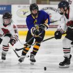 Juneau-Douglas Zac Stagg, left, and Max McHenry, right, take the puck away from Monroe Catholics Bella Knavel at the Treadwell Arena on Friday, Nov. 15, 2019. JDHS won 13-0. (Michael Penn | Juneau Empire)