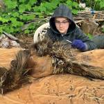 Jackson Pearson learns to harvest porcupine quills in Wrangell. (Vivian Faith Prescott | For the Capital City Weekly)