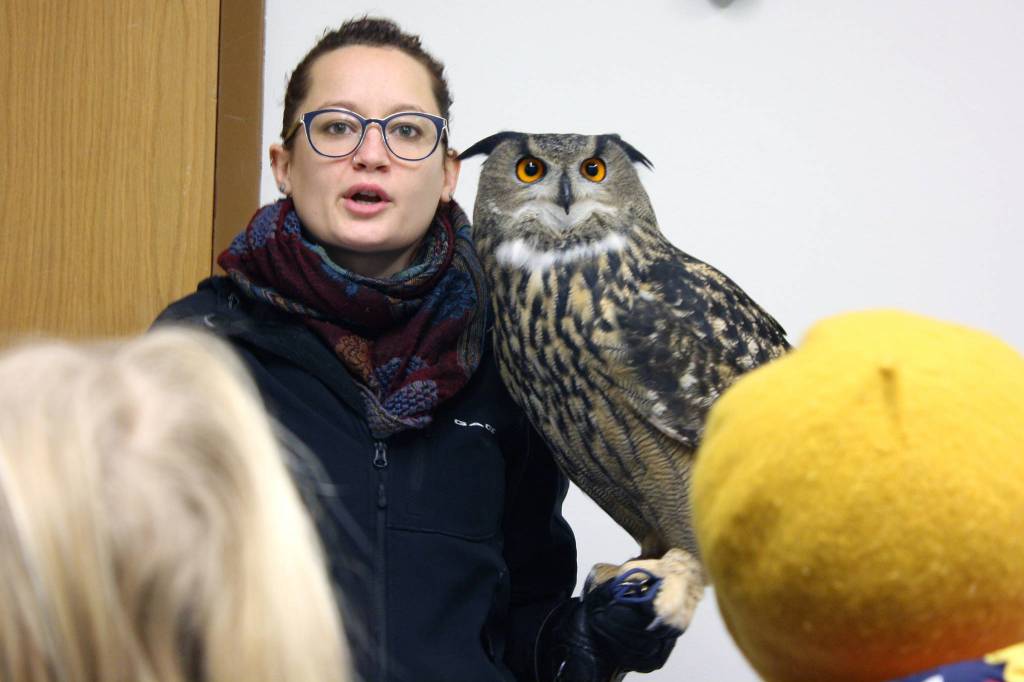 Sidney Campbell, raptor program manager for the American Bald Eagle Foundation, tells youths about Hans, a Eurasian eagle owl, at Juneau Public Market, Nov. 29, 2019. (Ben Hohenstatt | Juneau Empire)