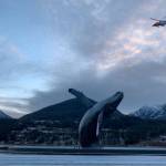 A U.S. Coast Guard MH-60T Jayhawk searches Gastineau Channel for a possible missing boater after the boat Sealion was found adrift near the Petro Marine docks on Nov. 29, 2019. (Yang-Hui Lee | Courtesy Photo)