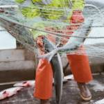 This photo by Evan Hartung, who makes photographs primarily related to fishing and Southeast Alaska using film, shows gillnetting in Southeast Alaska. (Courtesy Photo | Evan Hartung)