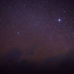 Living & Growing: Finding the balance between light and dark