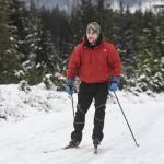 Wet and warm December likely to continue