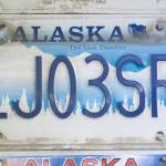 Older custom license plates decorate the wall at the Department of Motor Vehicles in Juneau in this March 2015 photo. (Michael Penn | Juneau Empire File)