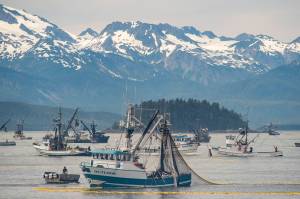 Pebble Mine opponents troubled by Dunleavy’s letter