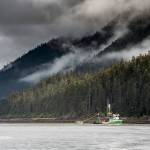 A seiner harvests salmon in the waters surrounding Southeast Alaskas Tongass National Forest. On average, commercial fishermen catch an average of 48 million salmon born in the Tongass and the Chugach National Forests each year, for an annual average dockside value of $88 million. Scientists recently quantified the commercial value of Alaskas forest fish for the first time. (Courtesy Photo | Chris Miller/csmphotos.com)