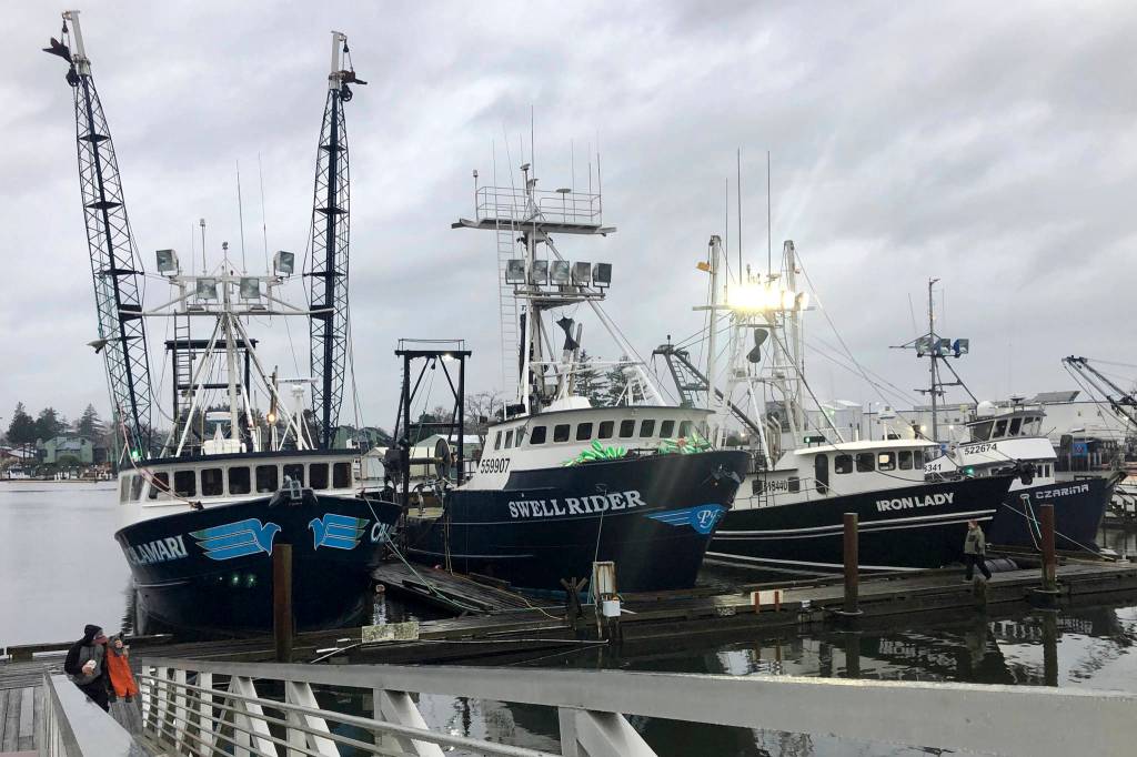 In this Dec. 11, 2019 photo, trawlers that fish for groundfish off the Oregon and Washington coast are shown in the background as a fisherman walks up a ramp from the docks in Warrenton, Oregon. A rare environmental success story is unfolding in waters off the U.S. West Coast as regulators in January 2020 are scheduled to reopen a large area off the coasts of Oregon and California to groundfish bottom trawling fishing less than two decades after authorities closed huge stretches of the Pacific Ocean due to the species depletion. (AP Photo/Gillian Flaccus)