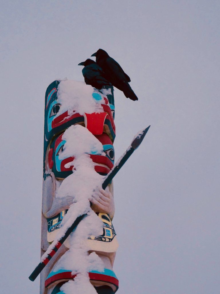 Wild Shots: Photos of Mother Nature in Alaska