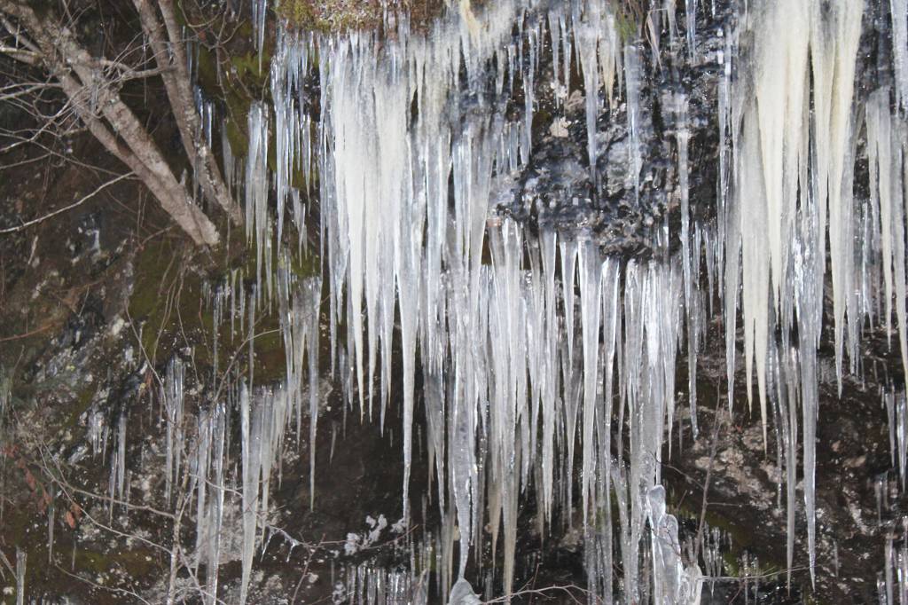 Icicles cling despite wintery winds on North Douglas in this photo shared Jan. 15