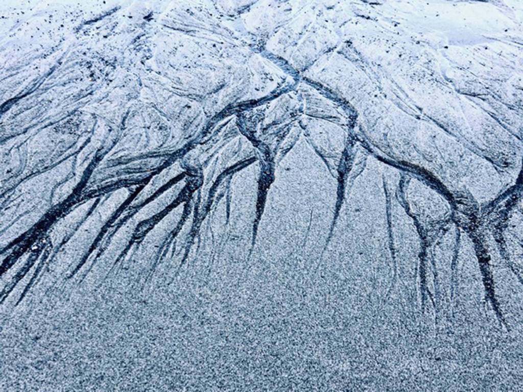 Dendritic patterns appear at low tide on Boy Scout Beach, Jan. 15, 2020. (Courtesy photo | Denise Carroll)