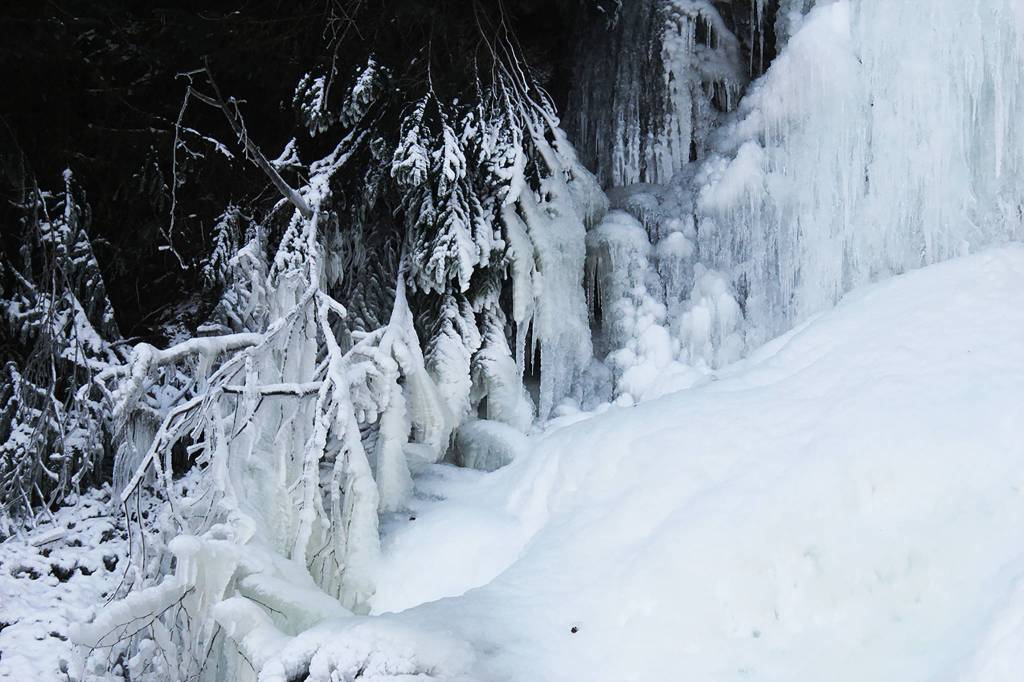 Courtesy Photos / Janna Lelchuk                                 Subfreezing temperatures have impacted the sights on North Douglas as seen in this photo shared Jan. 15.