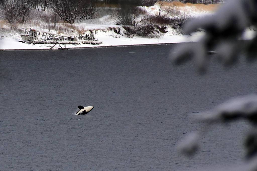 Wild Shots: Photos of Mother Nature in Alaska