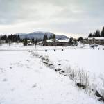 In a proposed ordinance, the City and Borough of Juneau would give $2 million to Torrey Pines Development, a private developer which would build and run a $32 million assisted living facility on Clinton Drive in Vintage Park in the Mendenhall Valley.The City and Borough of Juneau purchased 2.35 acres of land in Vintage Park solely for senior assisted living. (Michael Penn | Juneau Empire)