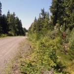 $40 million for a road? Some Kupreanof Island residents want that money for ferries.