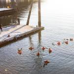Coast Guardsmen participate in cold water survival training while also checking the survival suits for structural integrity in the harbor at Coast Guard Station Juneau, Jan. 13, 2020. (Michael S. Lockett | Juneau Empire)