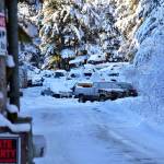 Peter Segall | Juneau Empire                                Cars are piled up Tuesday at an illegal junkyard on River Road in the Mendenhall Valley.