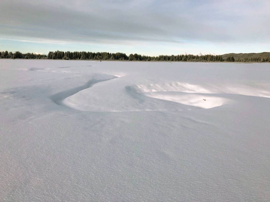 Snow covers the beach near Gustavus airport on Jan. 3. (Courtesy photo | Katherine Hocker)