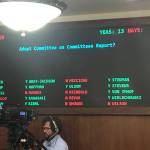 The senate vote for new committee appointments on Tuesday, Jan. 21, 2020. (Peter Segall | Juneau Empire)