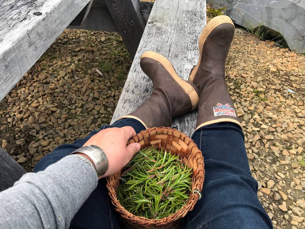 A snapshot of Xtrafufs and Labrador tea after a day of foraging.