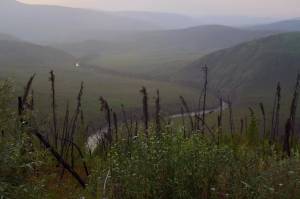 Alaska Science Forum: Keeping the carbon in Alaska forests